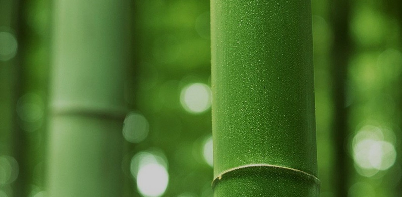 Suzhou Donghong Metal Materials Technology Co., Ltd.